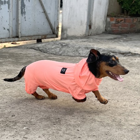 SSOOOK Colling Coverall  Dachshund Fit  [SO-OR015]